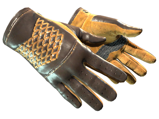 ★ Driver Gloves | Overtake (Field-Tested)